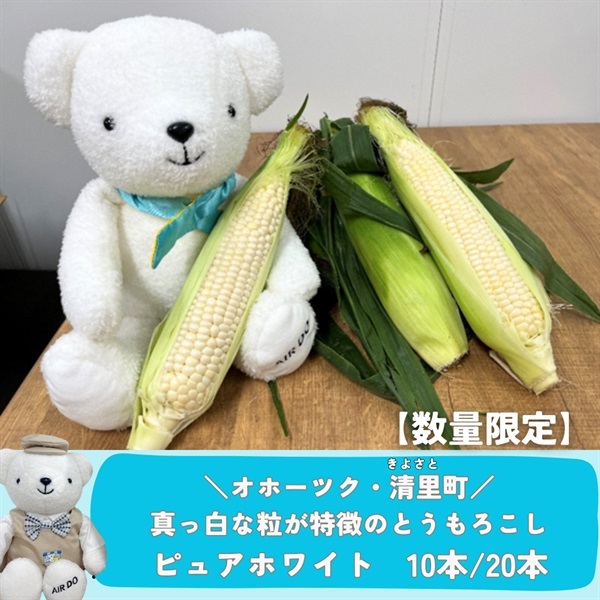 【予約受付中】ピュアホワイト(20本入り)