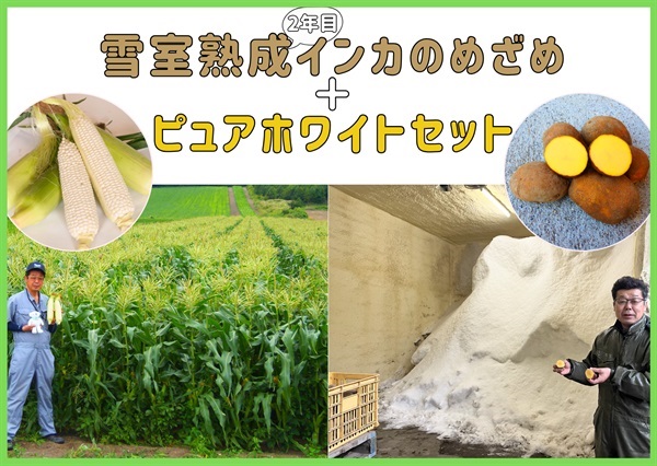 【予約受付中】雪室熟成インカのめざめ(600g)ピュアホワイト(7本)セット