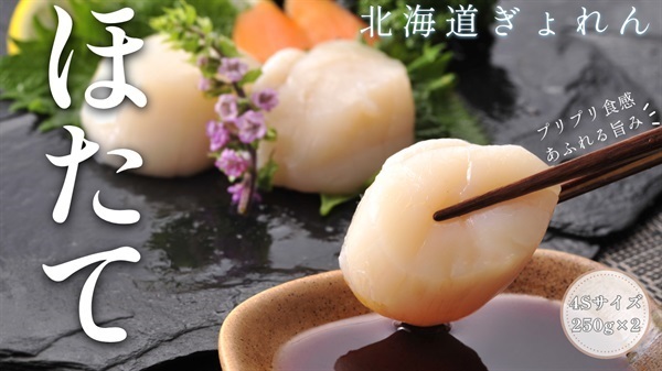 プリプリ食感！あふれる旨み！ほたて貝柱(250g×2)