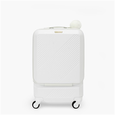 【エースラゲージ】Brush 北海道カラーパレットスーツケースLTD CABIN_No.5802077　pocket