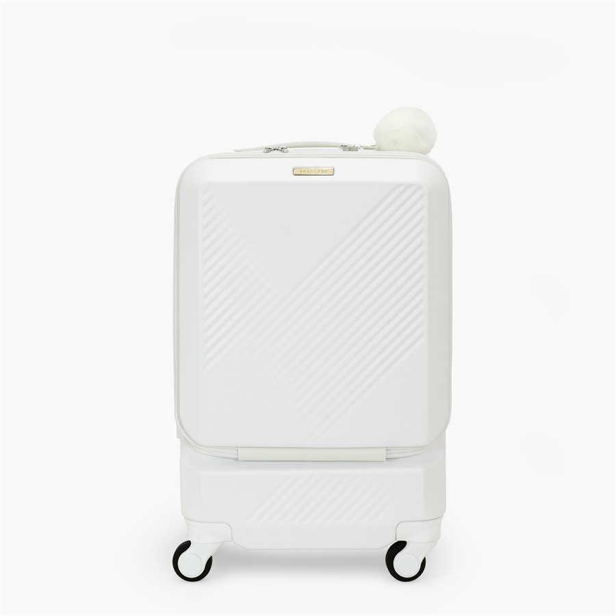 【エースラゲージ】Brush 北海道カラーパレットスーツケースLTD CABIN_No.5802077　pocket