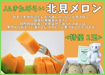 JAきたみらい　北見メロン（特優2玉）