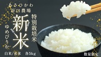特別栽培米ゆめぴりか 5kg