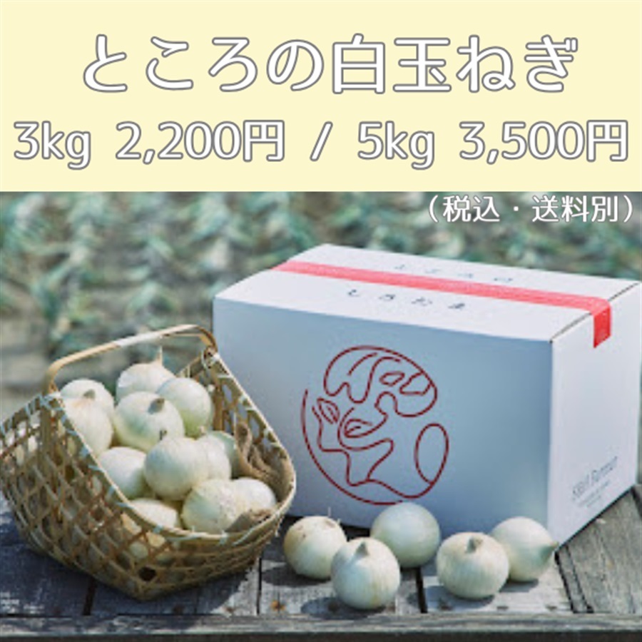 ＜S＆Hファーマー＞ところの白玉ねぎ（3kg：2,200円、5kg：3,500円）
