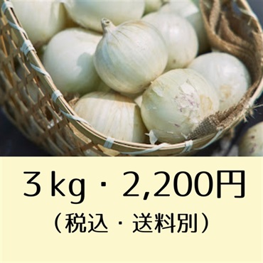 ＜S＆Hファーマー＞ところの白玉ねぎ（3kg：2,200円、5kg：3,500円）(3kg：2,200円)