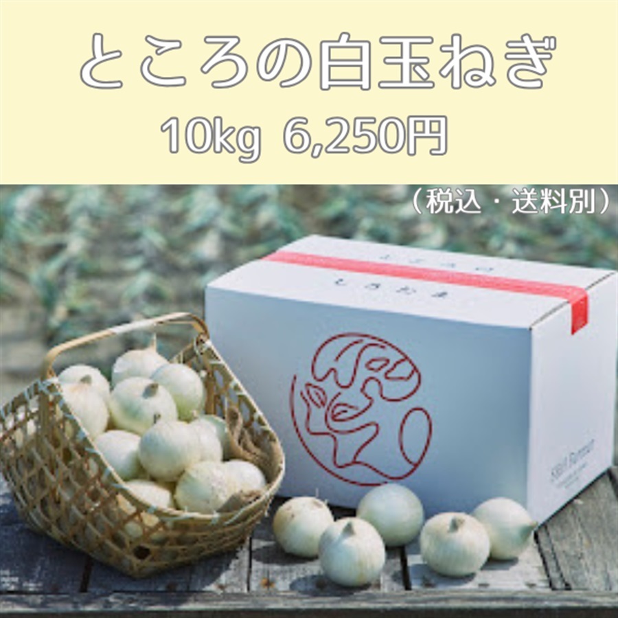 ＜S＆Hファーマー＞ところの白玉ねぎ（10kg：6,250円）