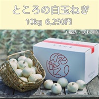 ＜S＆Hファーマー＞ところの白玉ねぎ（10kg：6,250円）